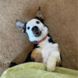 Meet your Posher, Jane